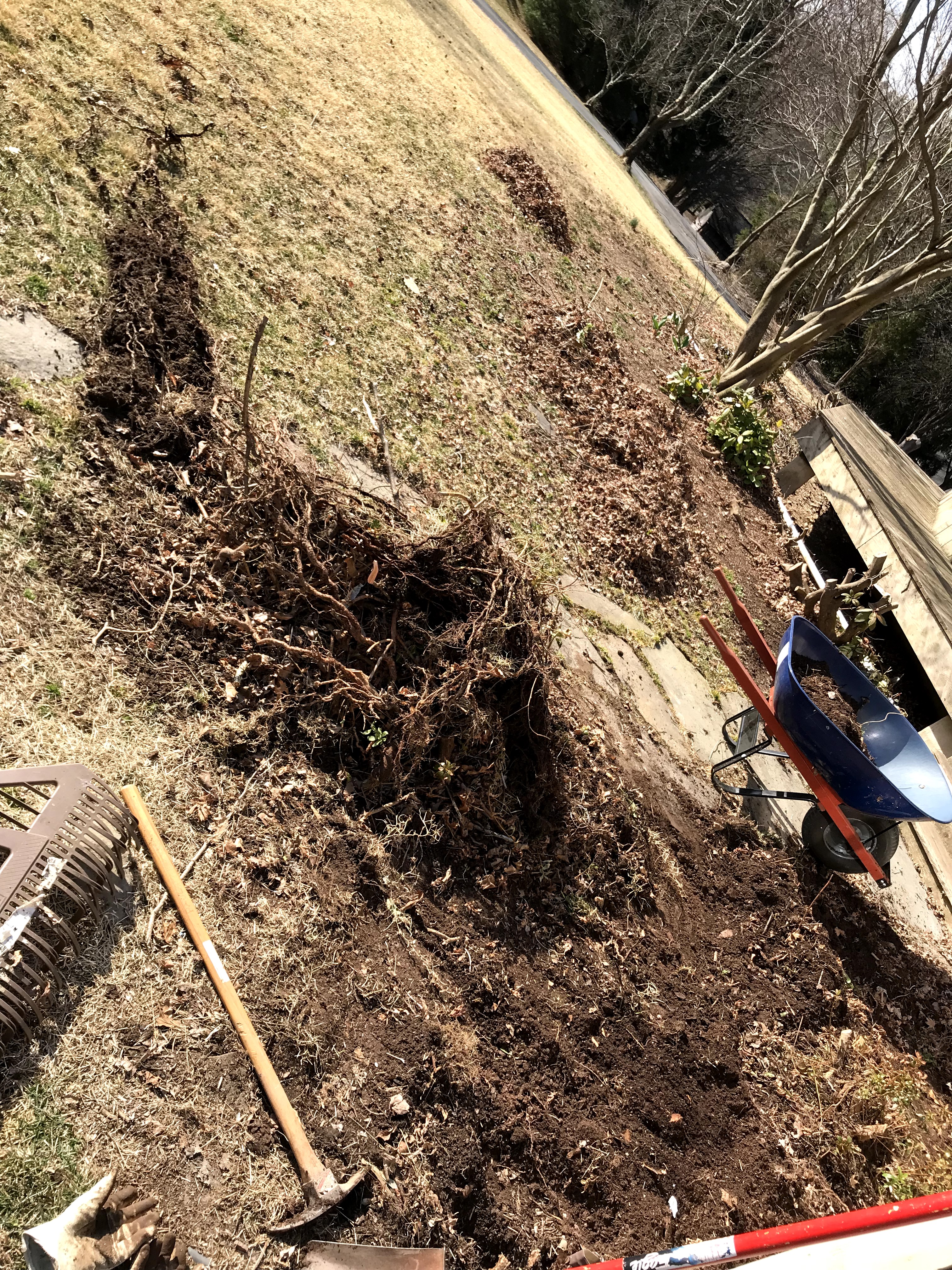 Buried Treasure